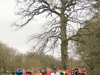 TBC20-10km-260